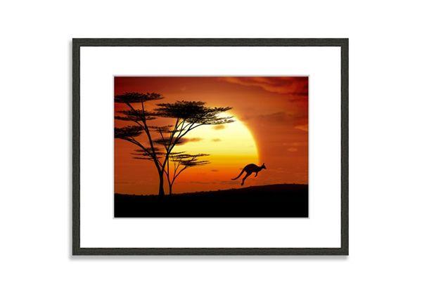 Kangaroo and Sun Logo - Kangaroo Sun Glow Sunset Prints Framed Standard Framed Print