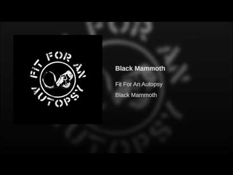 Black Mammoth Logo - Black Mammoth - Fit For An Autopsy | Shazam