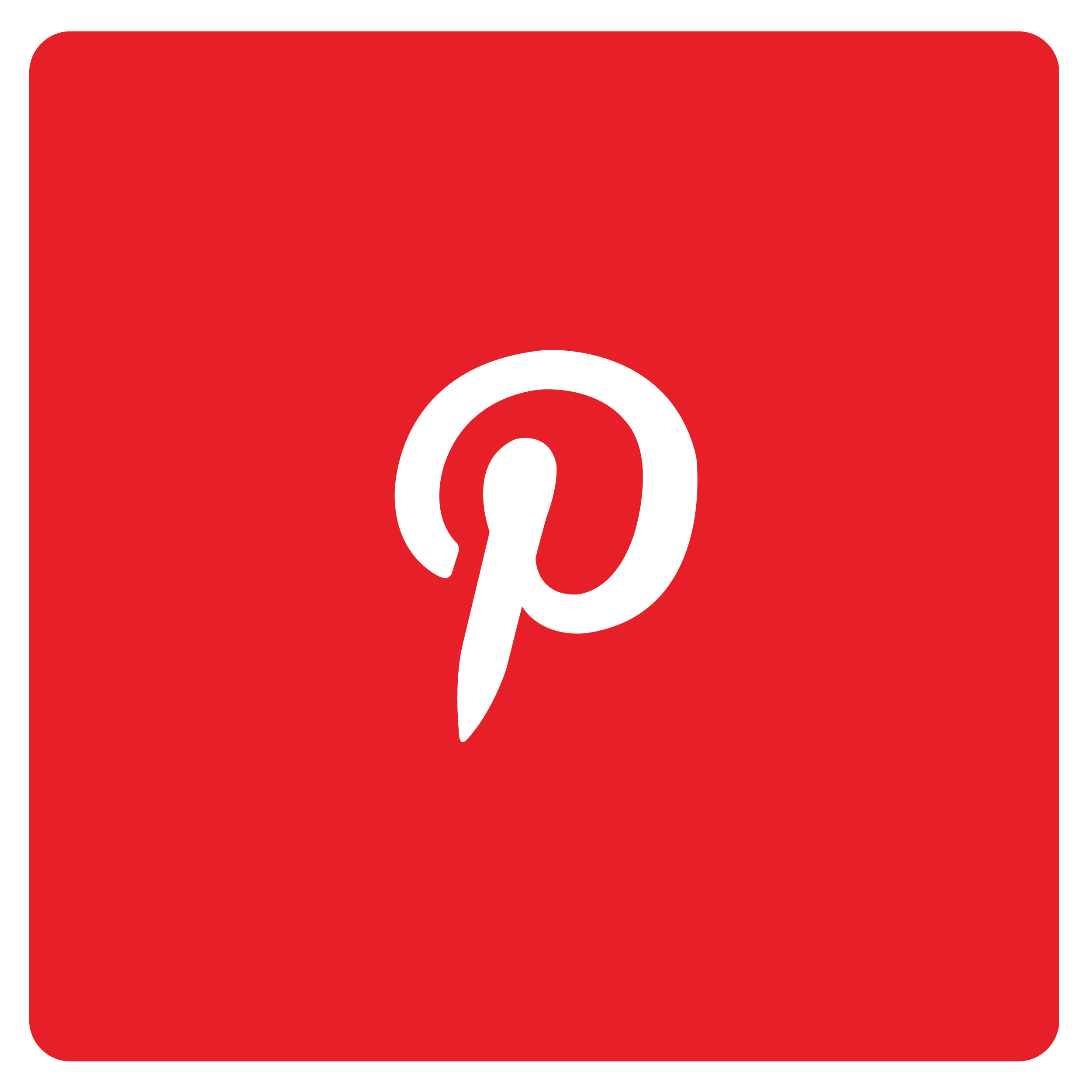 Pinterest Logo - Pinterest icon
