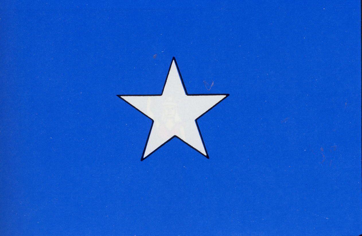 Blue Flag with Stars Logo - History of the Bonnie Blue Flag