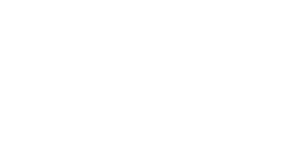 EMC Partner Logo - Dell Premier Partner - Esteem