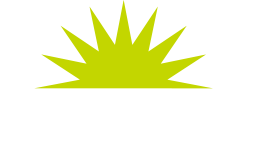 Green Flash Logo - Green Flash Brewing Co