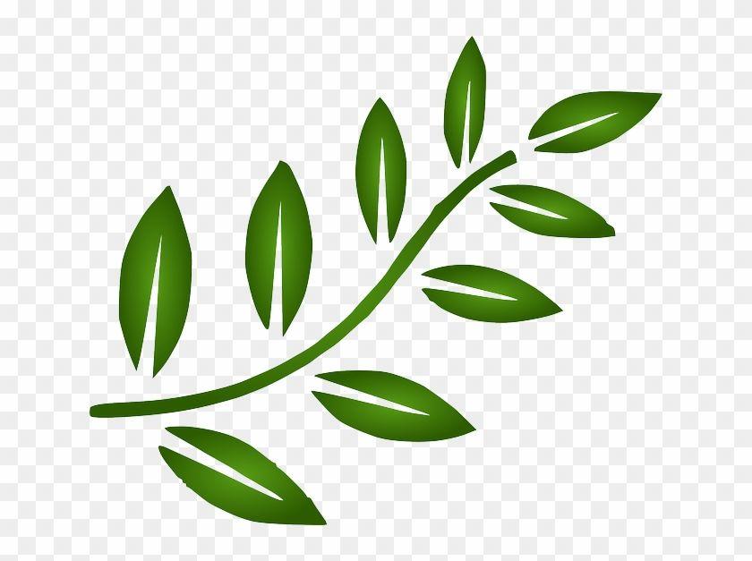 3 Leaf Logo - 3 Green Leaves In A Circle Logo - Leaf Branch Clip Art - Free ...
