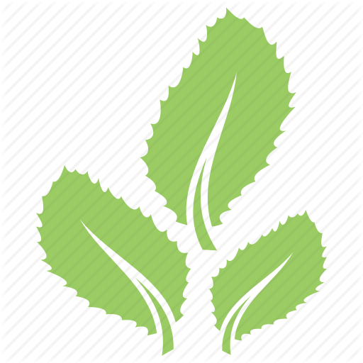Three Leaves Logo - Green leaves, leaf design, leaf logo, leaf shape, three leaves icon