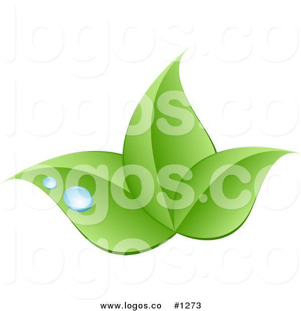 Three Green Leaves Logo - Picture of 3 Green Leaf Logo