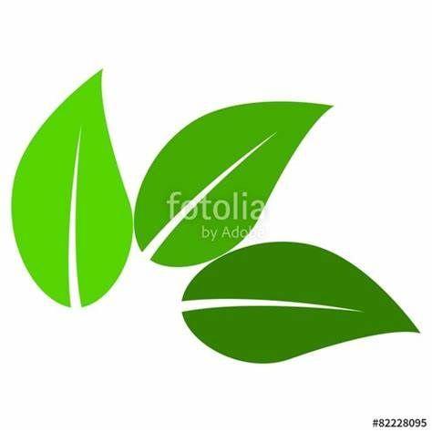 Three Green Leaves Logo - Green Leaf Logo. Logo Quiz Answers Level 10