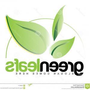 Three Green Leaves Logo - Eco Friendly Green Leaves Logo Vector
