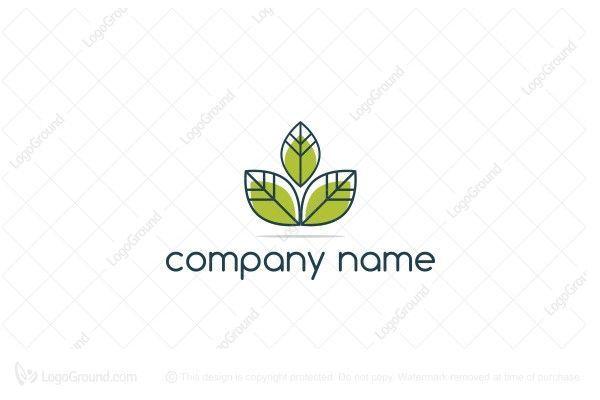 Three Green Leaves Logo - Logo for sale: Three Leaves Logo | 海报 | Logos, Logo inspiration ...