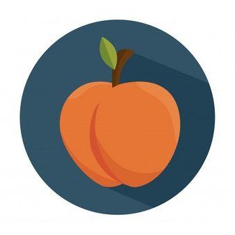 Peach Vector Logo - Peach Vectors, Photos and PSD files | Free Download