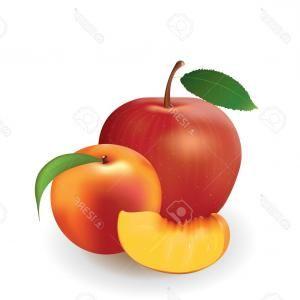 Peach Vector Logo - Stock Illustration Fruit Vector Logo Design Template | ARENAWP