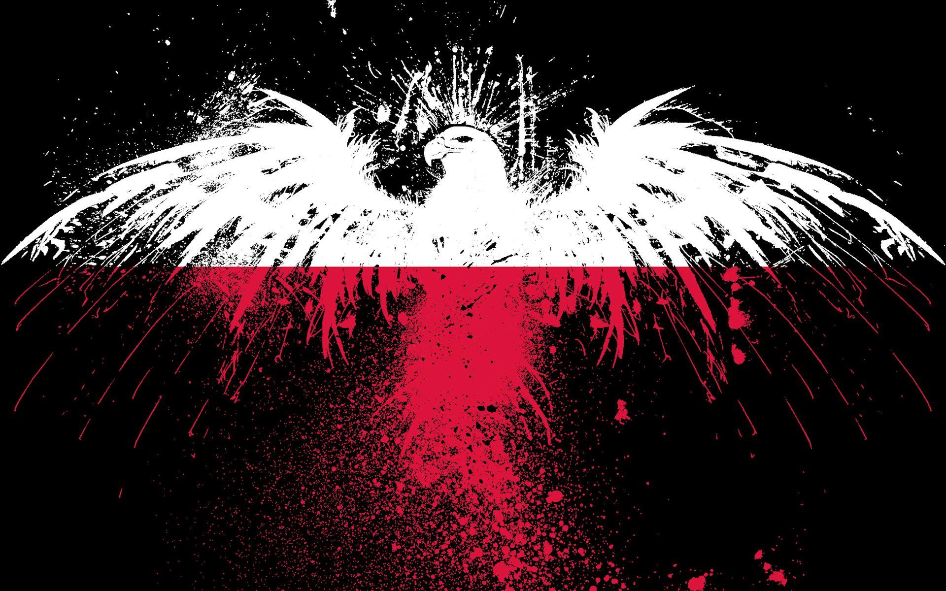 Red and White Eagle Logo - flags, white, red, White Eagle, Poland, Polish, eagles, black