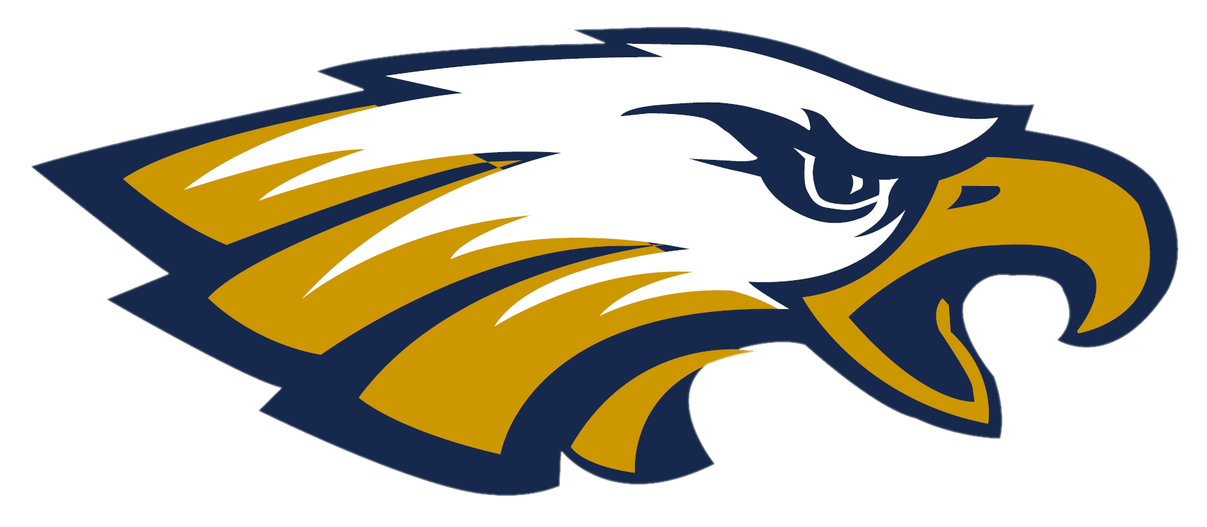 Yellow and Blue Eagles Logo - Yellow And Blue Eagles Logo