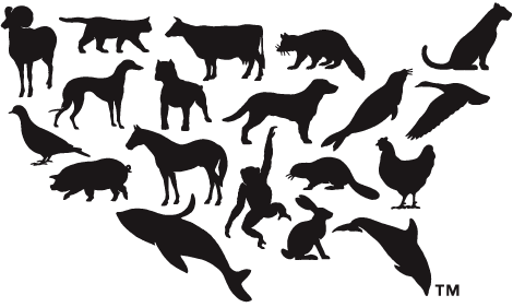 Animals Logo - Brand New: The United States of Animalia