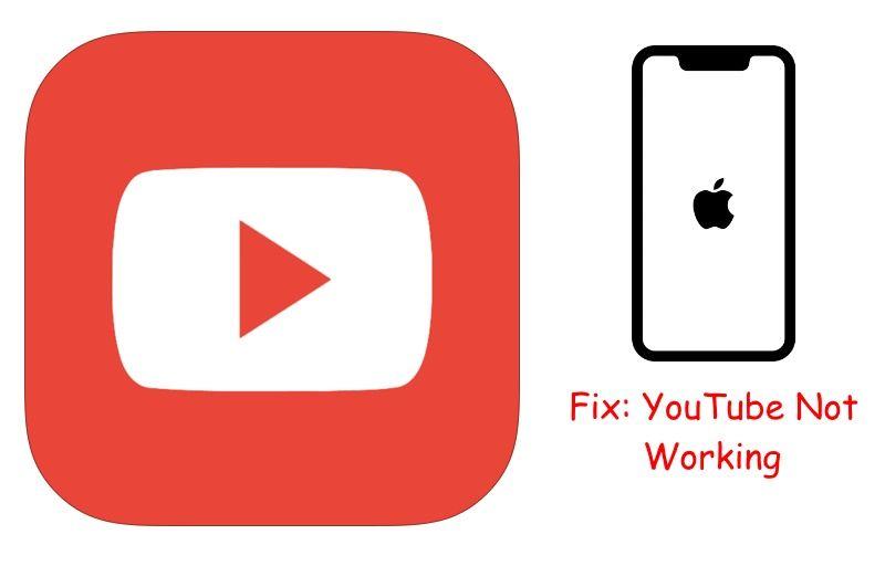 iPhone YouTube App Logo - YouTube Not Working on iPhone XS Max/XR/ X/8/8+7/6: iPhone YouTube ...