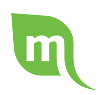 Mint Logo - Mint Media. Software development. Outsource. Enterprise Solutions