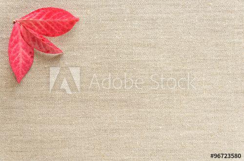 Three Colored Leaves Logo - Fall color, three red leaves arranged on a linen background - Buy ...