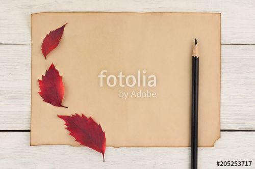 Three Colored Leaves Logo - Three red leaves on blank worn paper and black sharpened pencil on ...