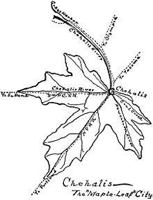 Three Colored Leaves Logo - Maple leaf