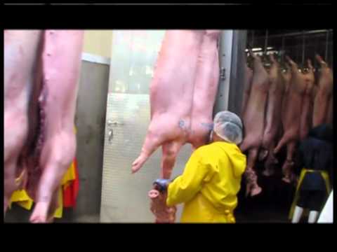 Sasa Pork Logo - EXPORTACION DE SASA ATOTONILCO PARA COREA - YouTube