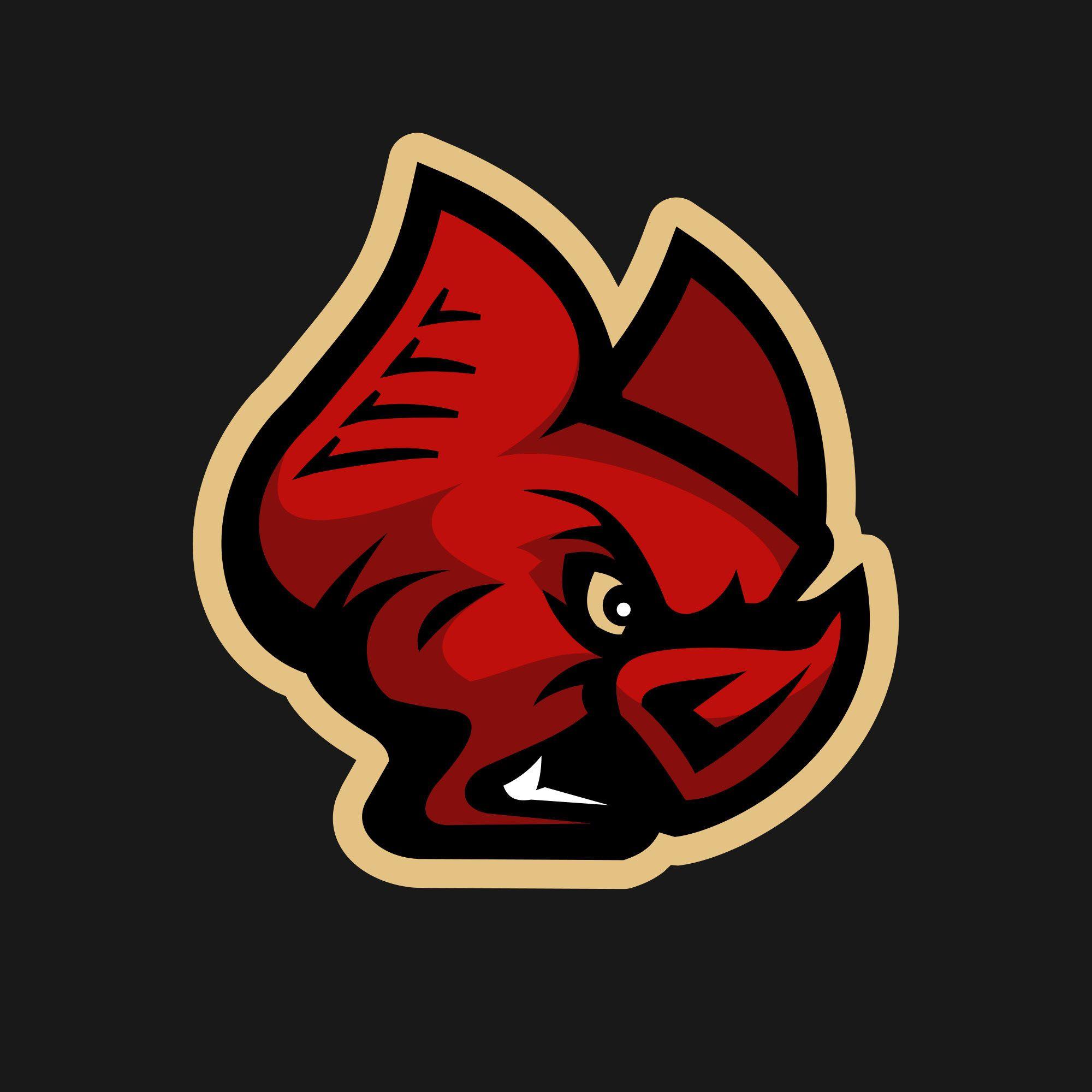 Vampire Logo - Vampire sports logo on Behance