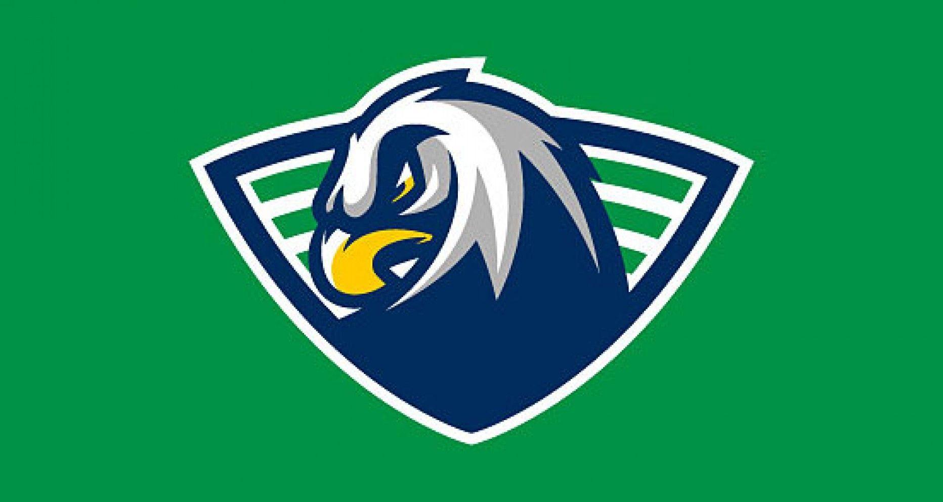 Cool Eagle Logo - Eagles Revision | Sports Logos | Pinterest | Logos, Eagles and ...