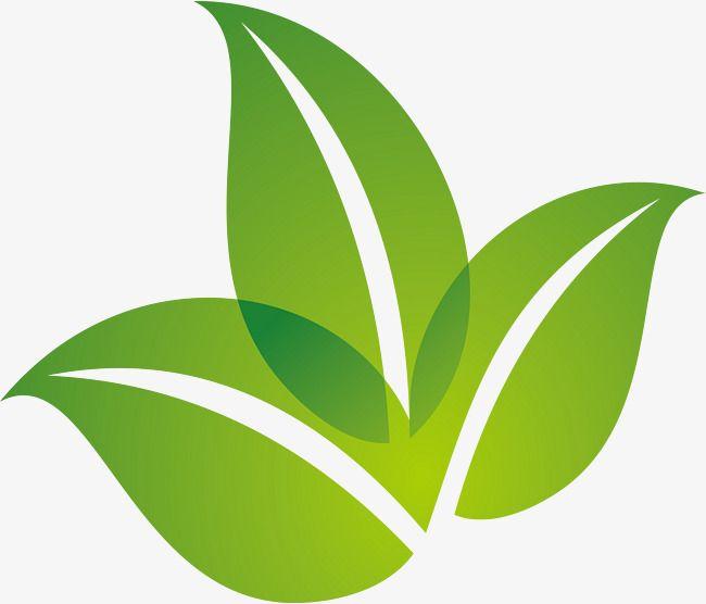 Green Leaves Logo - Spring Green Leaf Logo Design, Spring, Green Leaves, Green PNG and ...