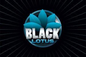 Black Lotus Logo - Blacklotus Blog Logo