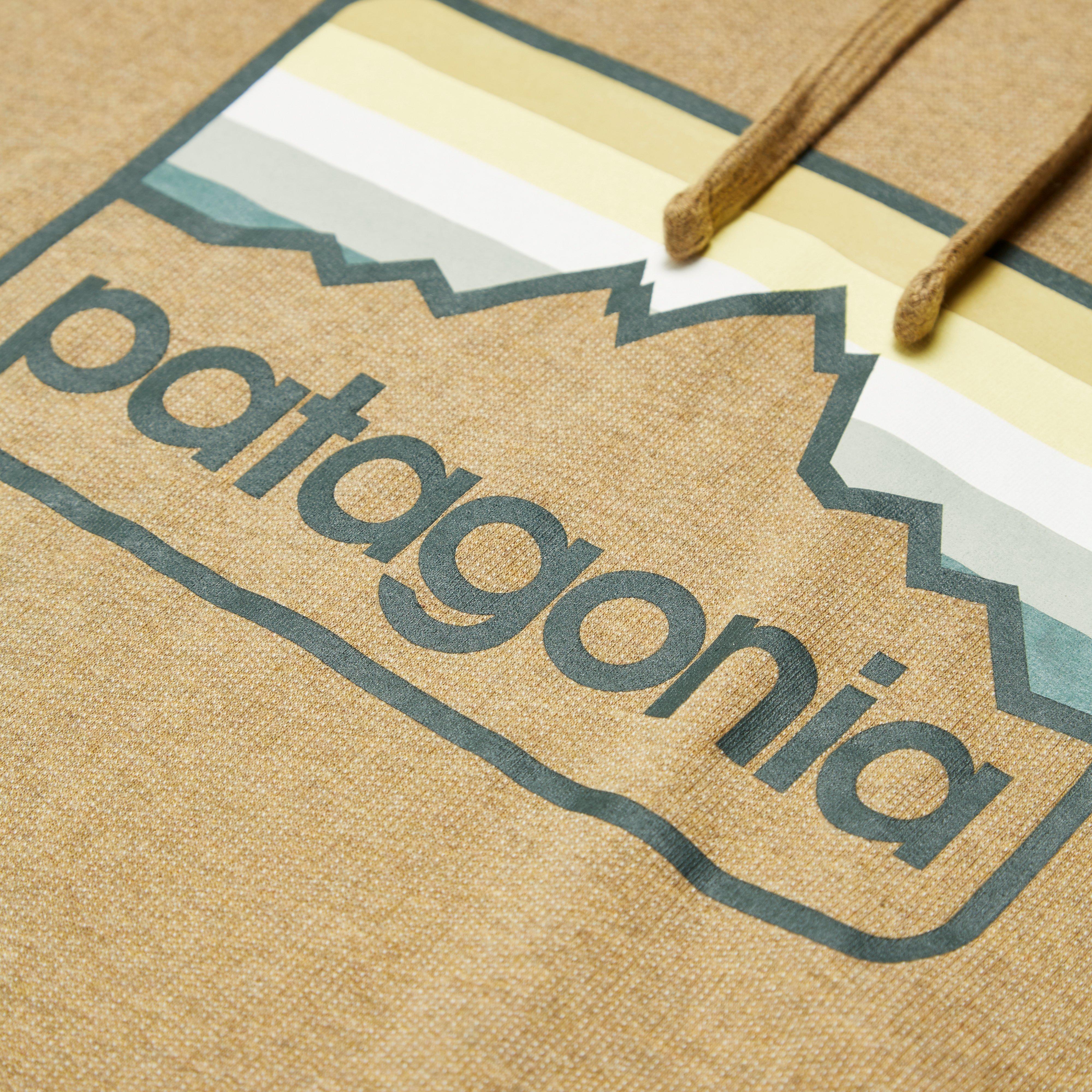 Brown Line Logo - Patagonia Line Logo Badge Lw Hoodie in Brown for Men