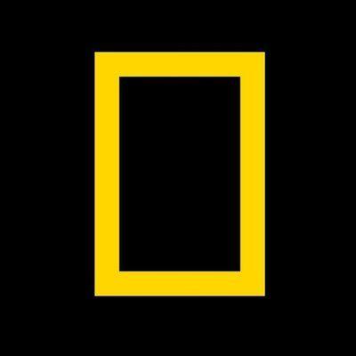 Yellow Square Channel Logo - Nat Geo Channel