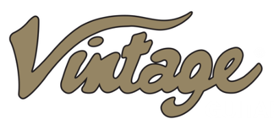 Vintage DG Logo - Authentic Guitars | Vintage Guitars