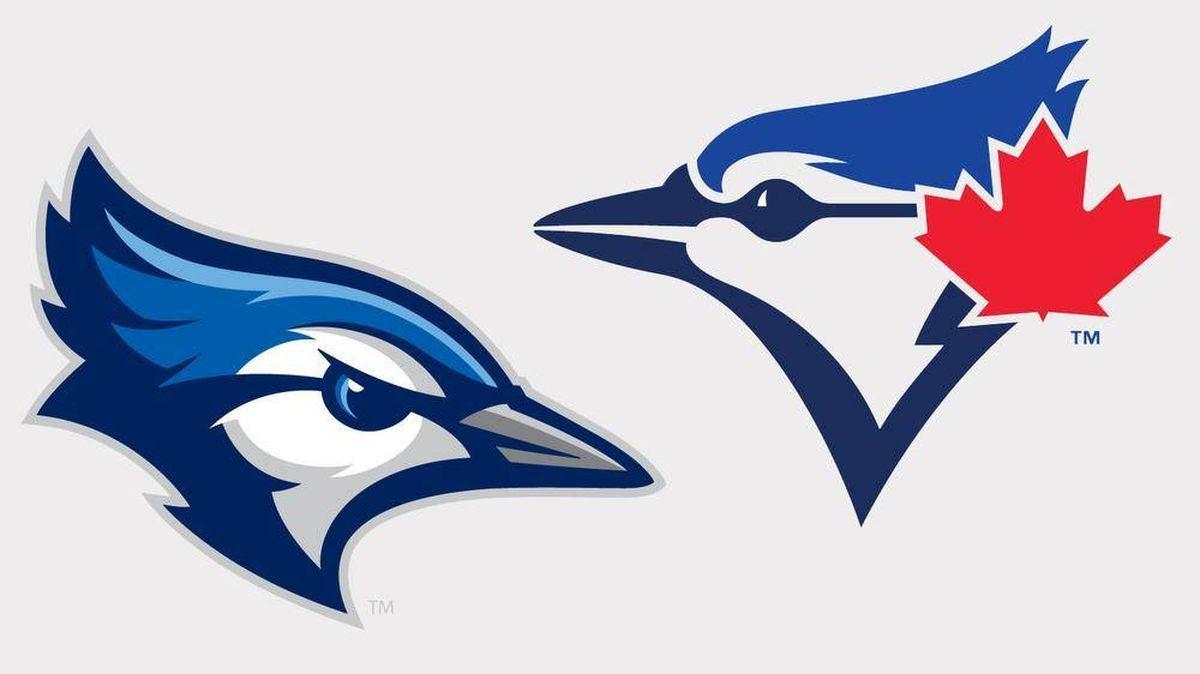 Blue Jay Logo - Trademark case ruffles Toronto Blue Jays' feathers - The Globe and Mail