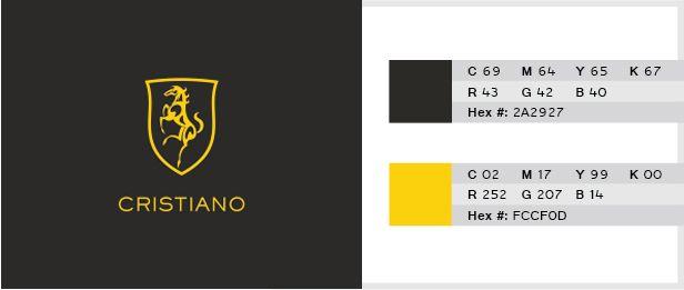 Yellow Color Logo - Best 2 Color Combinations For Logo Design with Free Swatches