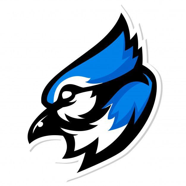 Blue Jay Logo - Blue jay mascot logo Vector | Premium Download