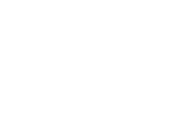 Style.com Logo - N-Style Motocross Graphics