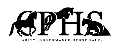Western Horse Logo - Dressage & Jumping Horses - Clarity Performance Horse Sales