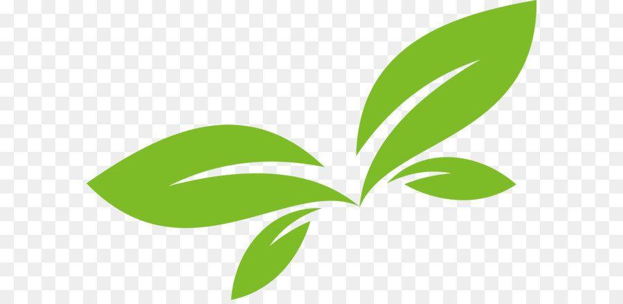 Green Leaf Logo - Leaf Logo Euclidean vector leaf vector logo design png