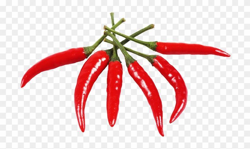 Birds Red Hot Chili Peppers Logo - Roasted Long Hot Peppers - Bird's Eye Chili - Free Transparent PNG ...