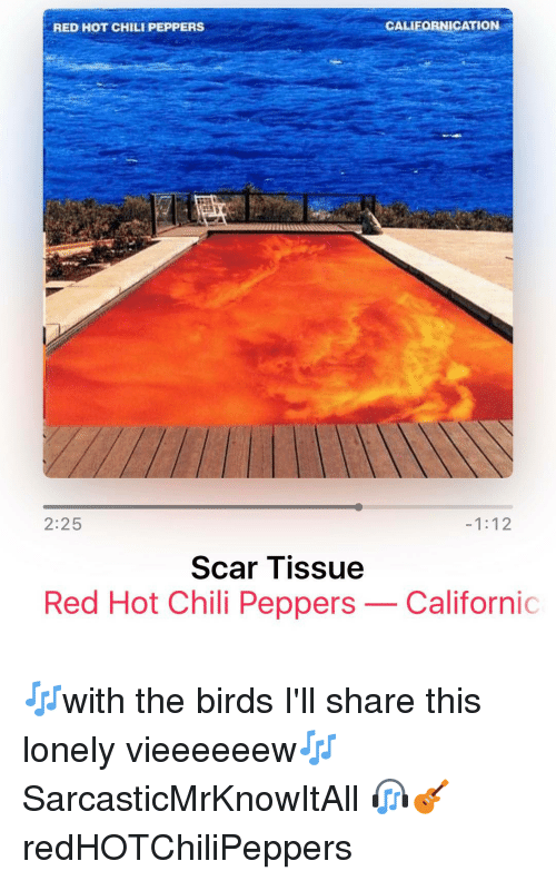 Birds Red Hot Chili Peppers Logo - CALIFORNICATION RED HOT CHILI PEPPERS -112 225 Scar Tissue Red Hot ...