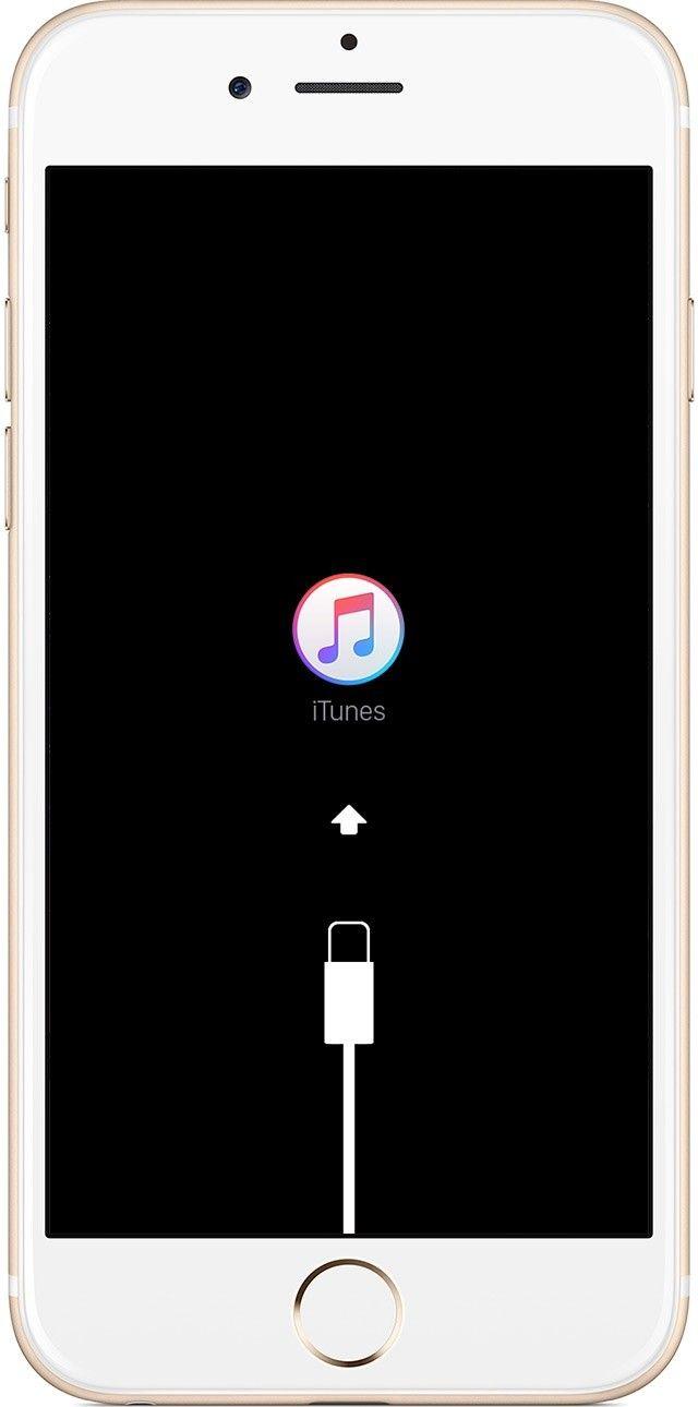 Black iTunes Logo - What to do if something goes wrong during iOS 12 installation
