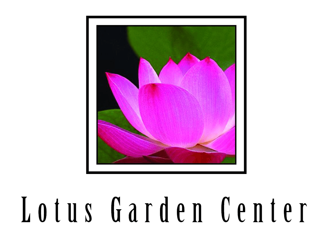 Rustic WR Free Flower Logo - Palm Desert Florist | Flower Delivery by Lotus Garden Center