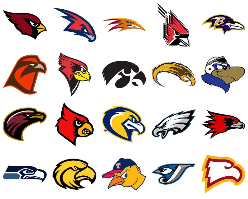 Bird College Logo - Bird Head Logos Project - Concepts - Chris Creamer's Sports Logos ...