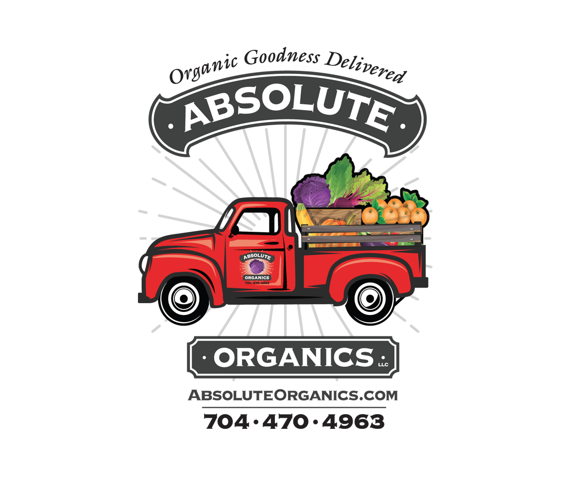 Nelson Car Logo - Colorful, Upmarket, Delivery Service Logo Design for Absolute ...