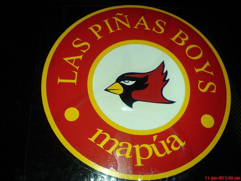 Official Flickr Logo - Official Las Piñas Boys of Mapua Logo