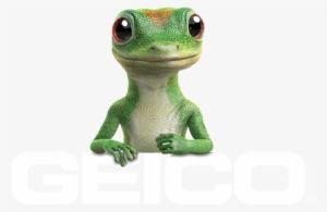 GEICO Gecko Logo - Geico's Virtual Assistant - Kate Geico Transparent PNG - 348x487 ...
