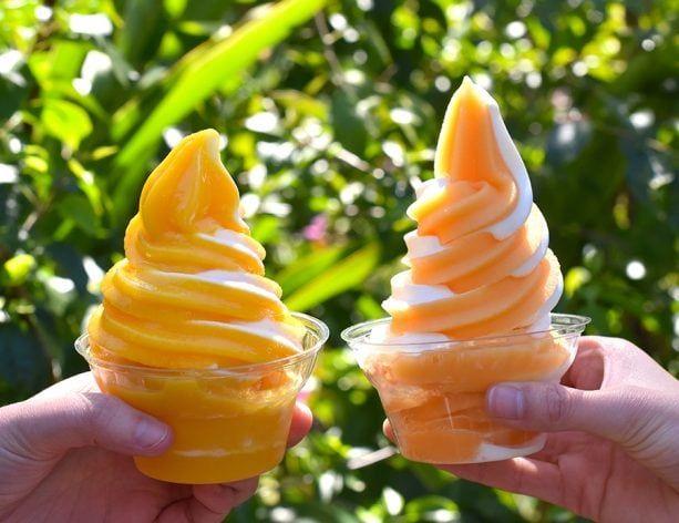 Disney Orange Swirl Logo - Orange Cream Swirl. Walt Disney World New Food Spring 2018