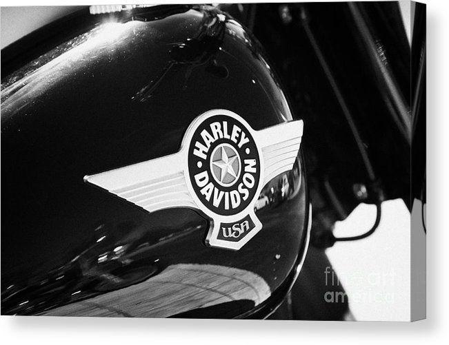 Boy Looking at Star Logo - Harley Davidson Aviation Themed Star Logo On Fat Boy Bike In Orlando