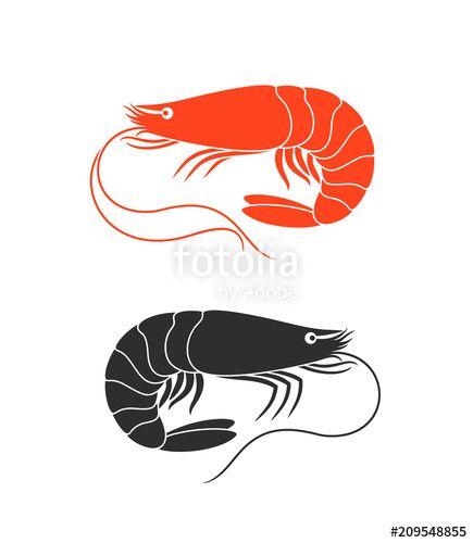 Shrimp Logo - Shrimp Logo. Isolated shrimp on white background. Prawns