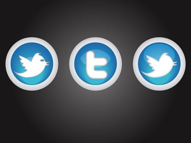 Modern Twitter Logo - Modern social media buttons of twitter Vector