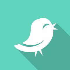 Modern Twitter Logo - Search photo twitter icon