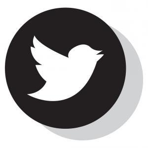 Modern Twitter Logo - Stock Illustration Modern Black Circle Twitter Bird | SOIDERGI